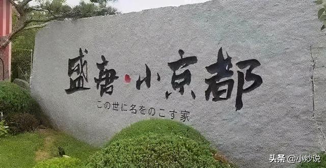 关于日本风情街的争议官方（攻陷日本风情街）(13)