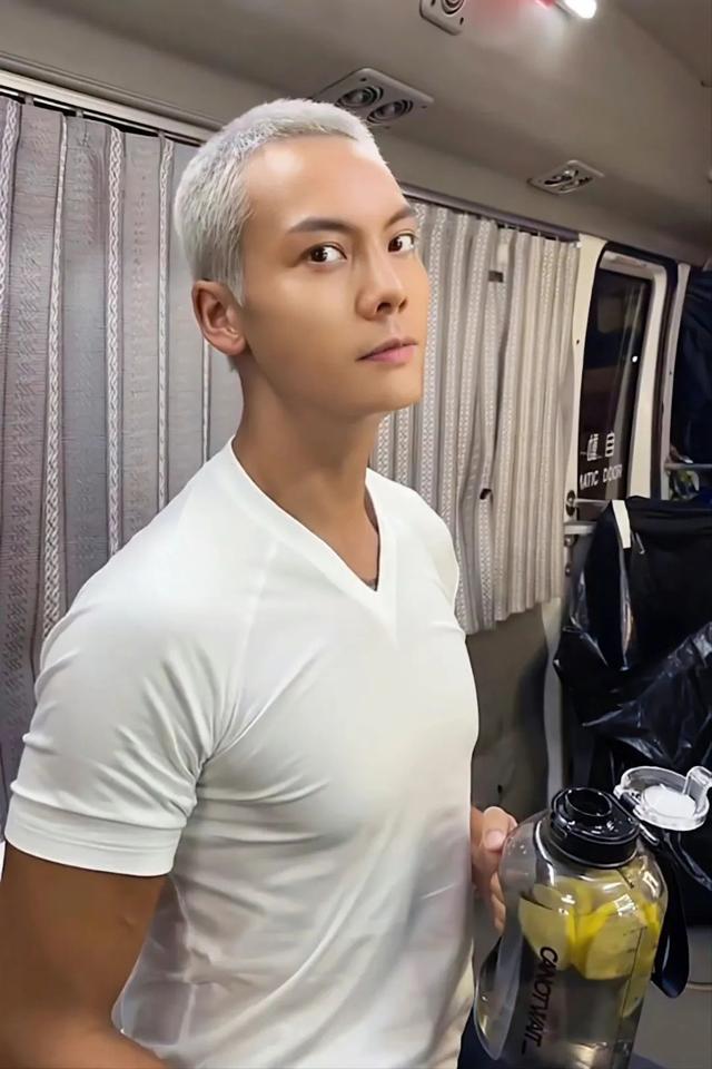 陈伟霆是一个怎样的演员（演员歌手陈伟霆正在成为真实的）(3)