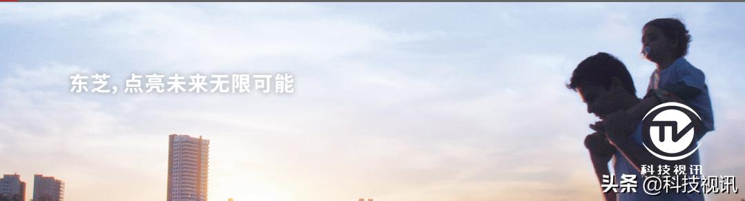 东芝m30 3e内存卡（更专业的存储卡）(10)