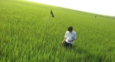 ​关于莉莉周的一切讲了什么（告别莉莉周告别青春）