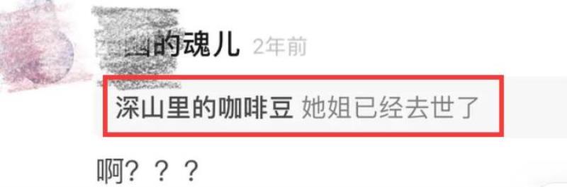 关晓彤的姐姐（网友爆料关晓彤的姐姐4年前去世）(6)