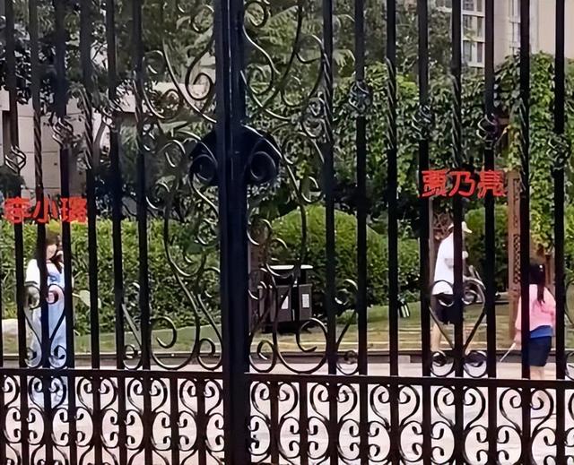 大s 具俊晔婚后同框照（大S自曝雇佣具俊晔假结婚）(16)