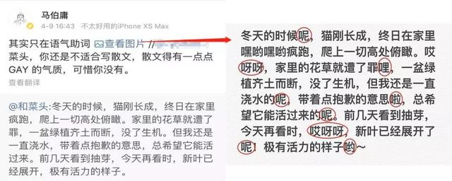 嗲声嗲气如何改善（如何正确地嗲声嗲气卖萌）(14)