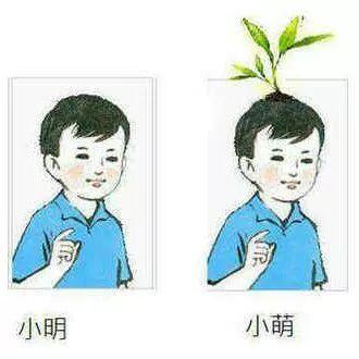 嗲声嗲气如何改善（如何正确地嗲声嗲气卖萌）(27)
