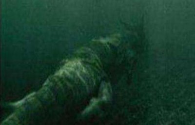 ​青海湖海底惊现12米巨型真龙？闭于龙的传闻（都是流言）