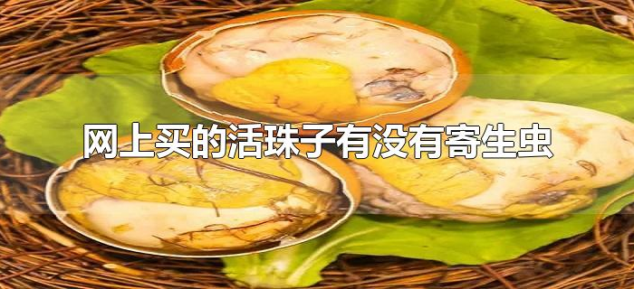 网上买的活珠子有没有寄生虫