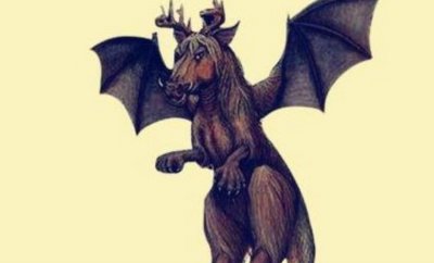 ​泽西魔鬼恐惧传闻，形状像马长有伟大党羽_搏斗家畜目打者稠密