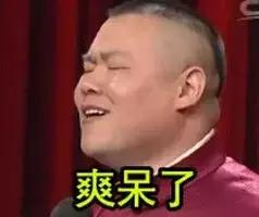 张一山和夏雨是不是同一个人（张一山和夏雨不仅长得越来越像）(11)