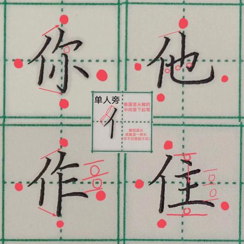 单人旁的字（单人旁的字大全）