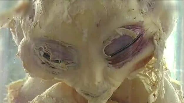 世界三大著名外星人事件，UFO离奇坠落地球，为何美国隐瞒至今？(1)