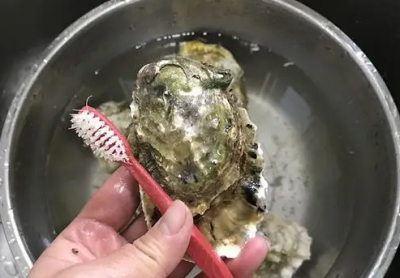 ​牡蛎可以整个蒸,生蚝不撬开能直接蒸多久