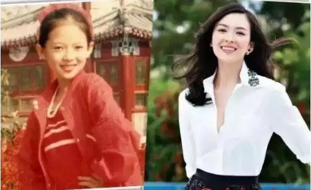 章子怡对张馨予的评价 章子怡质疑阚清子(19)
