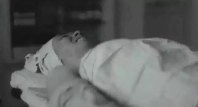 金星儿子最霸气的一段话（金星儿子被人嘲笑）(15)