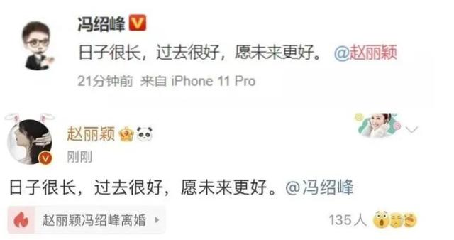 赵丽颖和冯绍峰离婚四个原因（赵丽颖冯绍峰结婚还不满三年就离婚）(2)