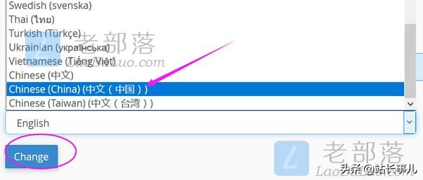 国外cpanel使用教程（一篇文章学会cPanel面板教程）(3)