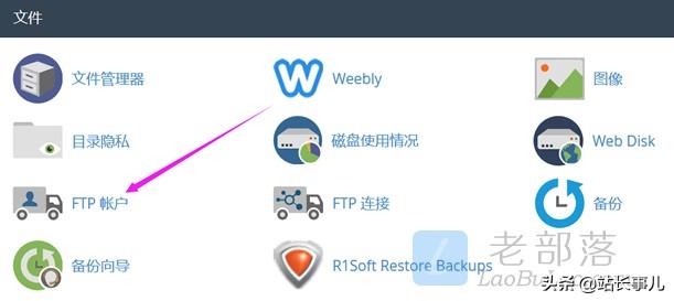 国外cpanel使用教程（一篇文章学会cPanel面板教程）(12)