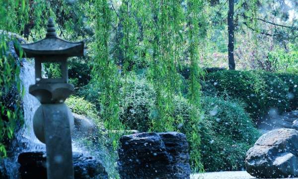 杨絮怎么清扫,杨絮怎么清扫 清扫杨絮方法视频图5
