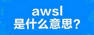 ​搜集用语awsl什么道理梗，啊尔死了的缩写_表现对于实物的喜欢
