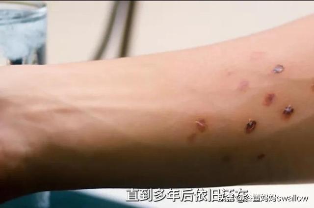 年轻少年卖海苔（网瘾少年卖海苔）(13)