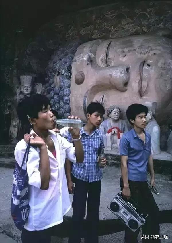 盘点80年代经典老歌（80年代的那些老歌）(9)