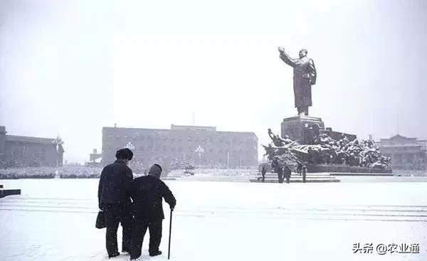盘点80年代经典老歌（80年代的那些老歌）(12)