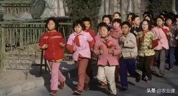 盘点80年代经典老歌（80年代的那些老歌）(17)