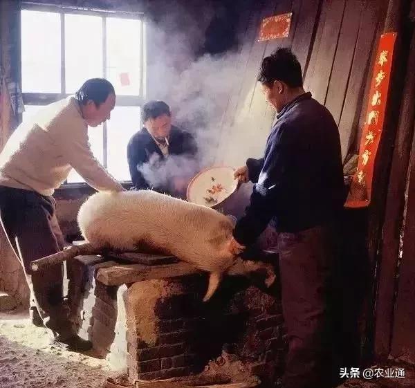 盘点80年代经典老歌（80年代的那些老歌）(5)