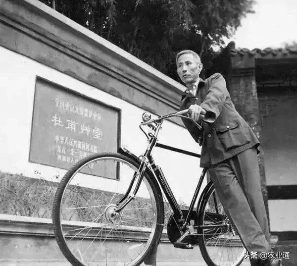 盘点80年代经典老歌（80年代的那些老歌）(37)