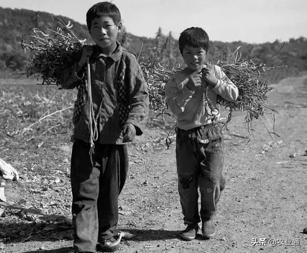 盘点80年代经典老歌（80年代的那些老歌）(24)