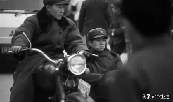 盘点80年代经典老歌（80年代的那些老歌）(41)