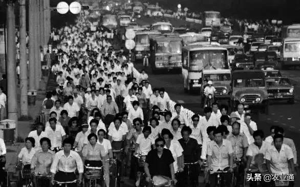 盘点80年代经典老歌（80年代的那些老歌）(22)