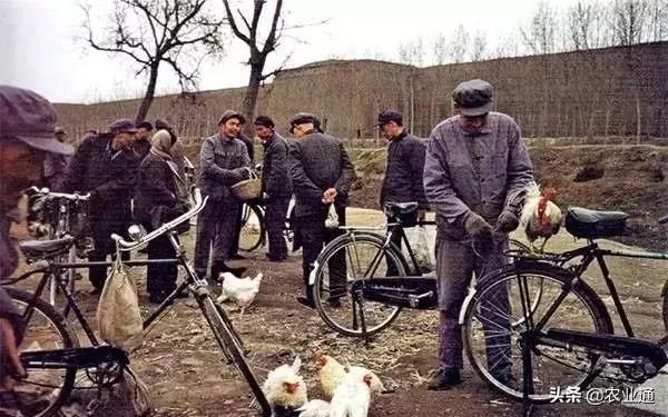 盘点80年代经典老歌（80年代的那些老歌）(15)
