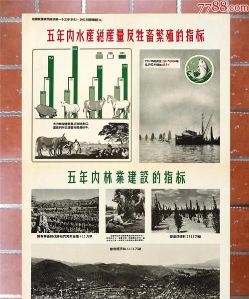 小学5年制从什么时候开始