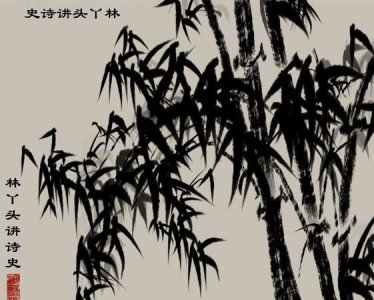 ​诗史数千言，诗史数千言秋天一鹄先生骨，草堂三五里春水群鸥野老心，指什么？