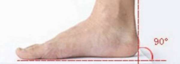 怎么确定自己脚的码数,怎么知道自己是什么星座图10