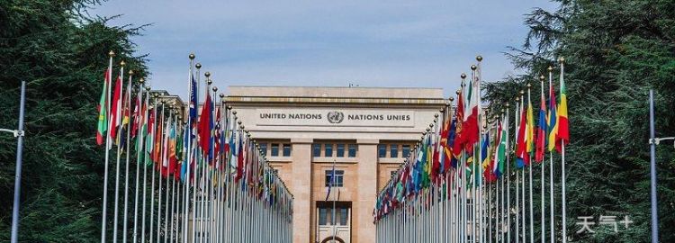 联合国总部设在美国的哪个城市