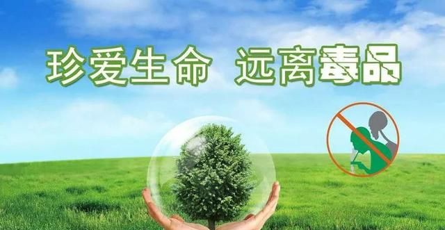 国际禁毒日是每年的，四年级国际禁毒日是每年的多少？图3