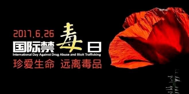 全民禁毒日是哪一年