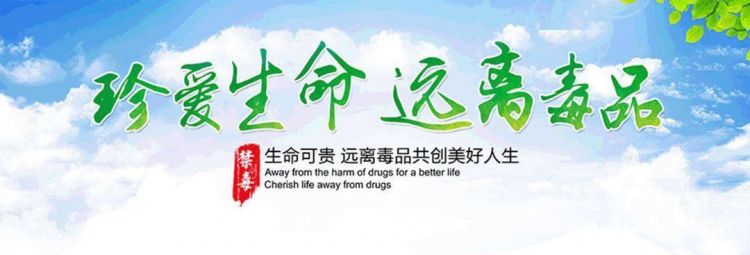 四年级国际禁毒日是每年的多少