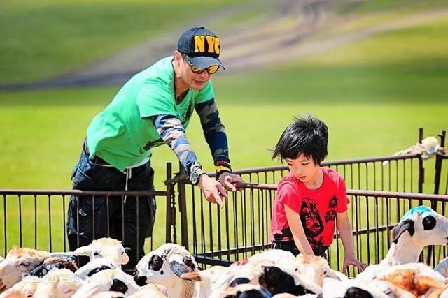 代勇吴镇宇媳妇（宠妻狂魔吴镇宇）(9)