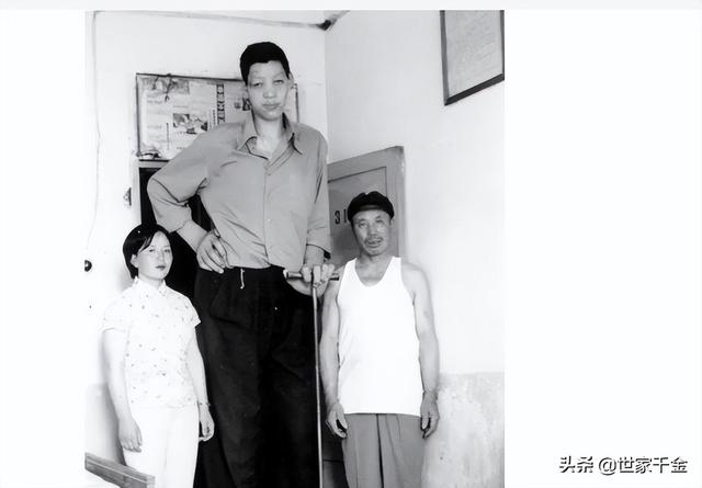 世界上最高的人是谁（中国最高的7位巨人）(27)