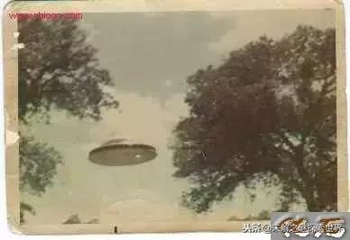 史上最神秘的ufo事件（震惊世界的十大UFO事件揭秘）(34)