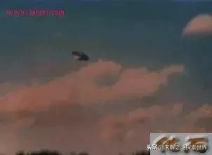 史上最神秘的ufo事件（震惊世界的十大UFO事件揭秘）(31)