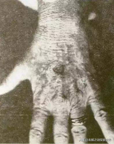史上最神秘的ufo事件（震惊世界的十大UFO事件揭秘）(9)