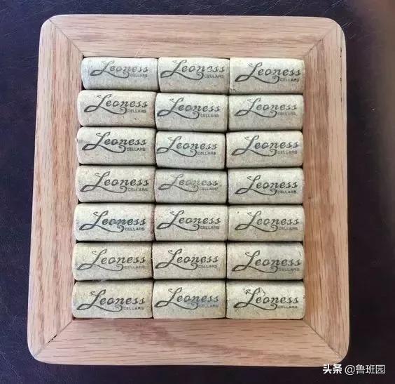 橡木相关知识（史上最专业橡木介绍）(16)