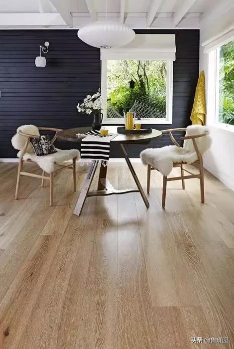 橡木相关知识（史上最专业橡木介绍）(18)