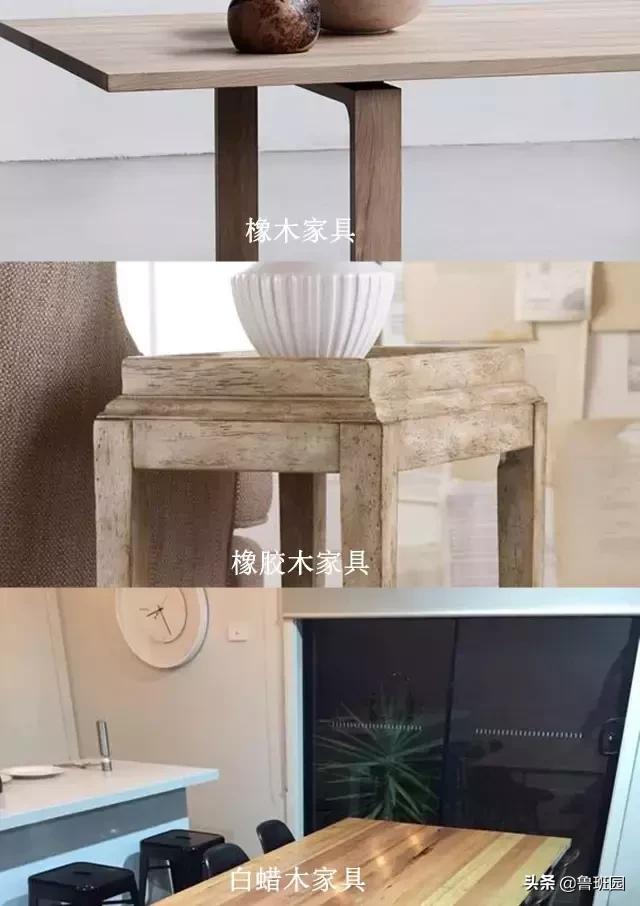 橡木相关知识（史上最专业橡木介绍）(9)