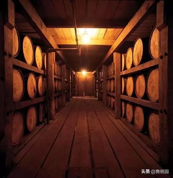 橡木相关知识（史上最专业橡木介绍）(34)