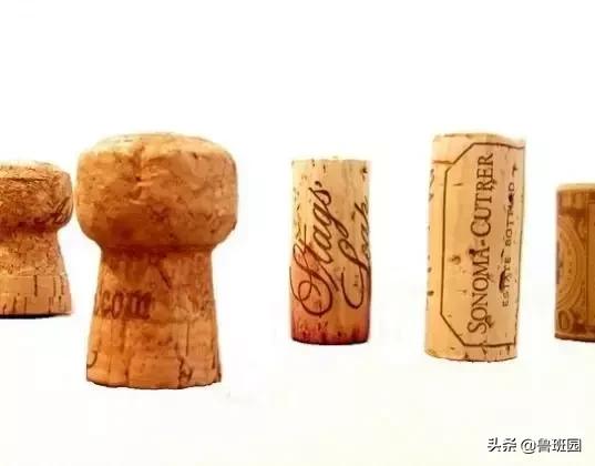 橡木相关知识（史上最专业橡木介绍）(14)