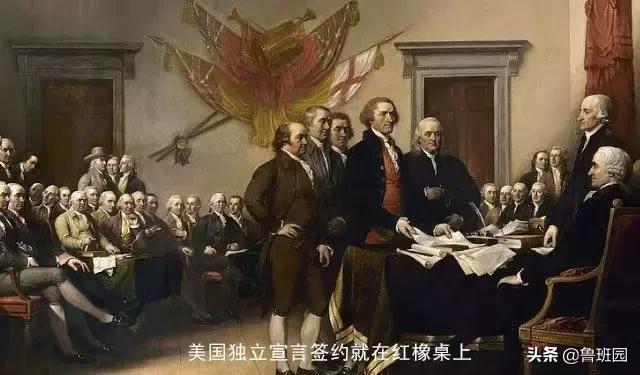 橡木相关知识（史上最专业橡木介绍）(3)